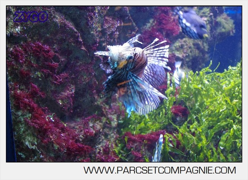 Marineland - Aquariums Tropicaux - 5019