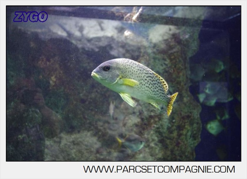 Marineland - Aquariums Tropicaux - 5020