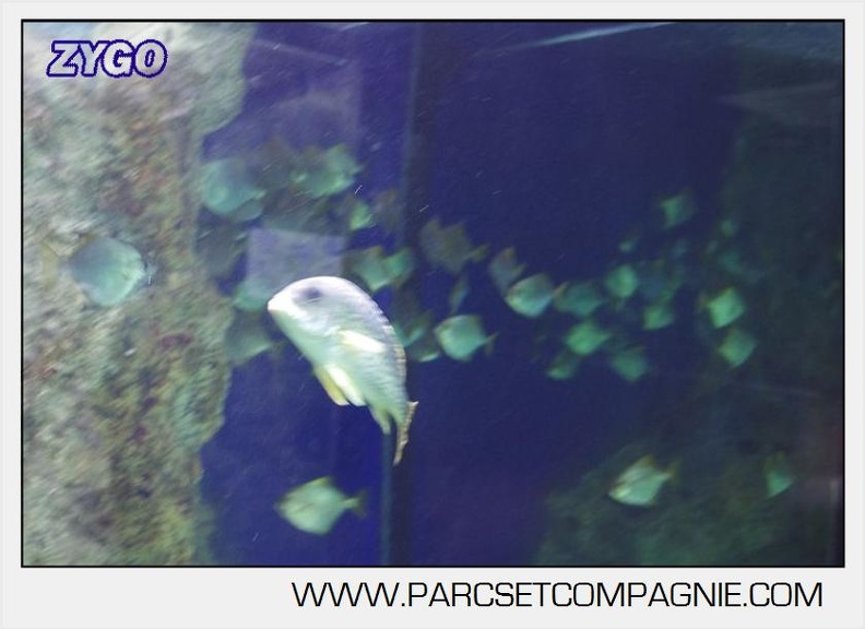 Marineland - Aquariums Tropicaux - 5021