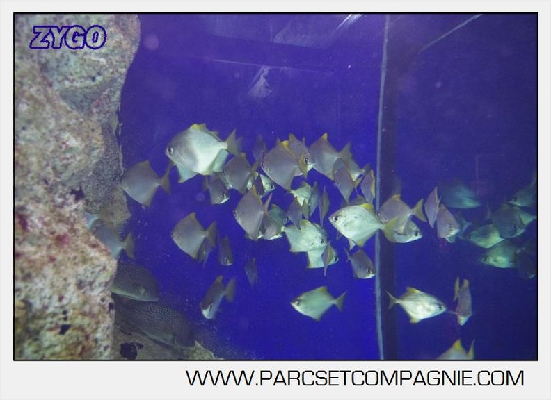Marineland - Aquariums Tropicaux - 5022