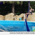 Marineland - Dauphins - Spectacle 17h00 - 5103