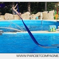 Marineland - Dauphins - Spectacle 17h00 - 5104