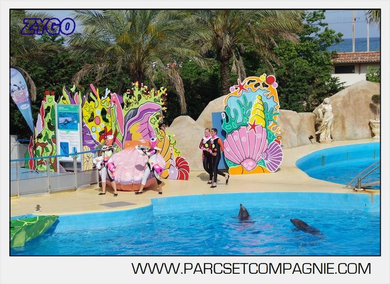 Marineland - Dauphins - Spectacle 17h00 - 5106