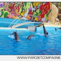 Marineland - Dauphins - Spectacle 17h00 - 5112