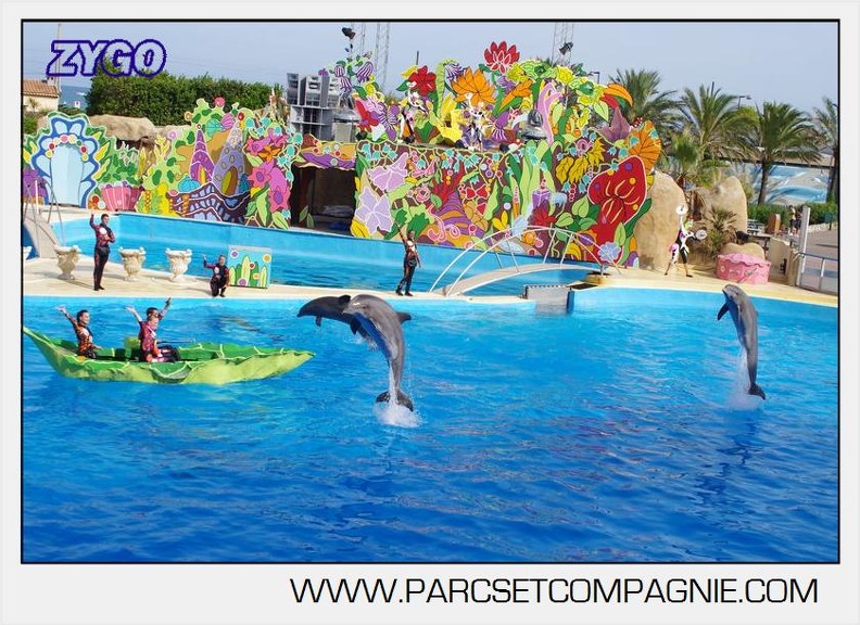 Marineland - Dauphins - Spectacle 17h00 - 5113