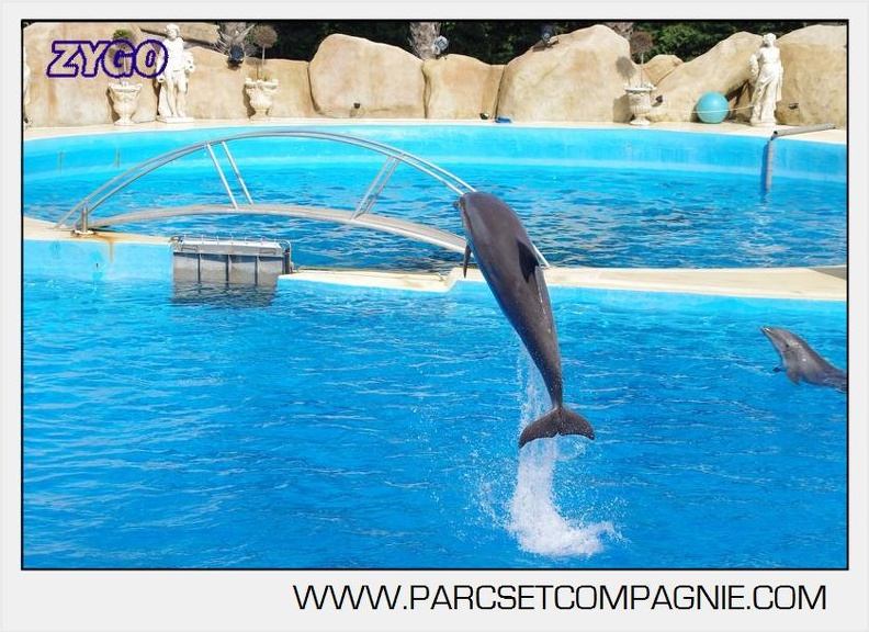 Marineland - Dauphins - Spectacle 17h00 - 5114