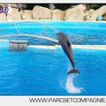 Marineland - Dauphins - Spectacle 17h00 - 5114