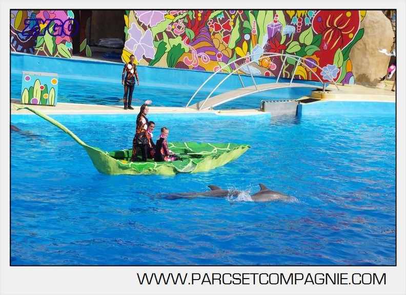 Marineland - Dauphins - Spectacle 17h00 - 5115
