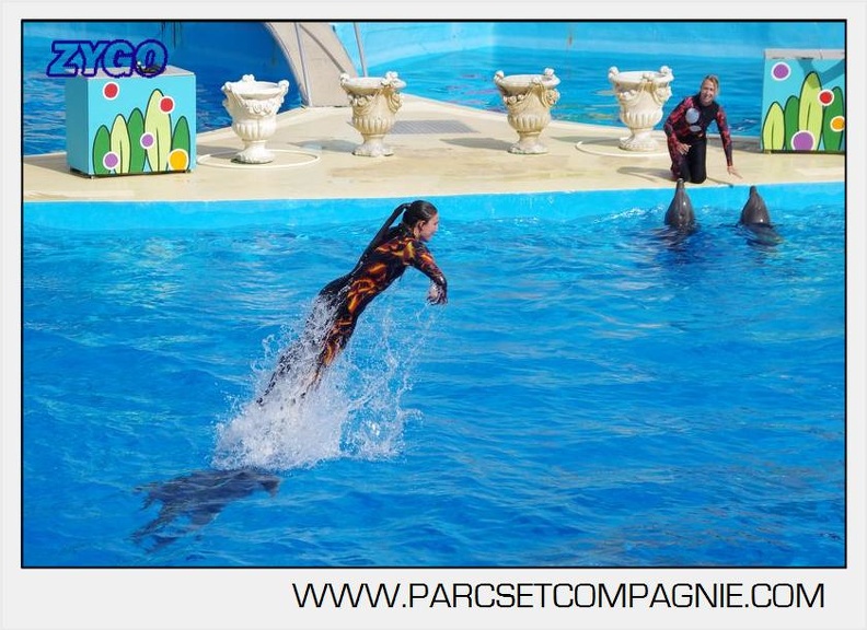 Marineland - Dauphins - Spectacle 17h00 - 5117