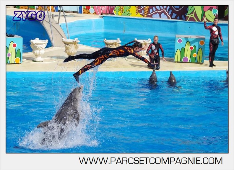 Marineland - Dauphins - Spectacle 17h00 - 5119