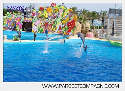 Marineland - Dauphins - Spectacle 17h00 - 5120