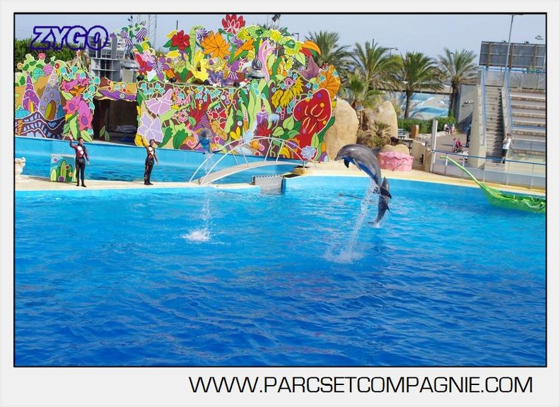 Marineland - Dauphins - Spectacle 17h00 - 5121