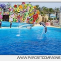 Marineland - Dauphins - Spectacle 17h00 - 5121