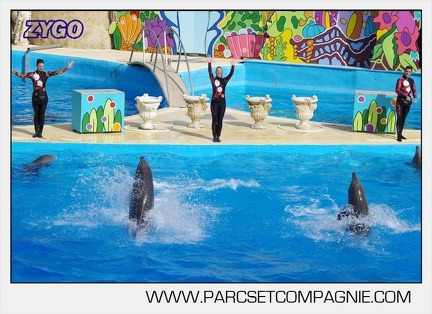 Marineland - Dauphins - Spectacle 17h00 - 5122