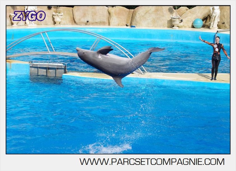 Marineland - Dauphins - Spectacle 17h00 - 5123
