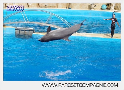 Marineland - Dauphins - Spectacle 17h00 - 5124