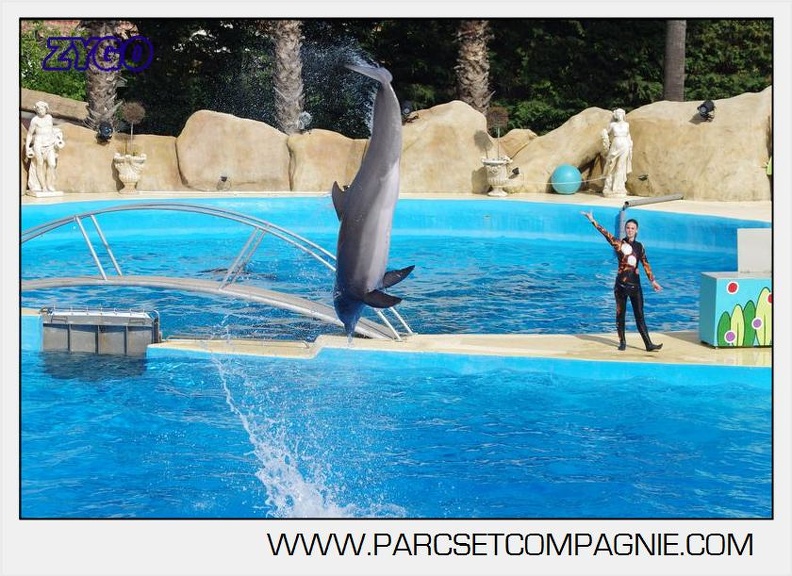 Marineland - Dauphins - Spectacle 17h00 - 5125
