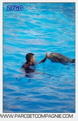 Marineland - Dauphins - Spectacle 17h00 - 5127