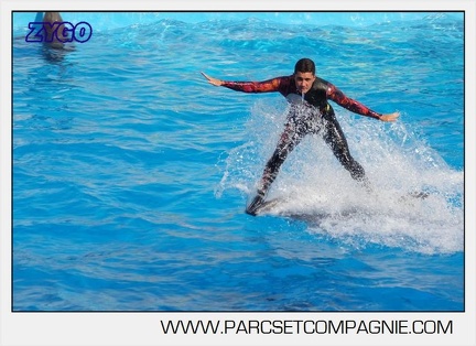 Marineland - Dauphins - Spectacle 17h00 - 5128