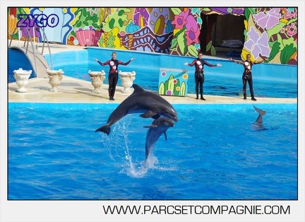 Marineland - Dauphins - Spectacle 17h00 - 5130