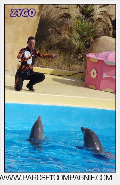 Marineland - Dauphins - Spectacle 17h00 - 5131