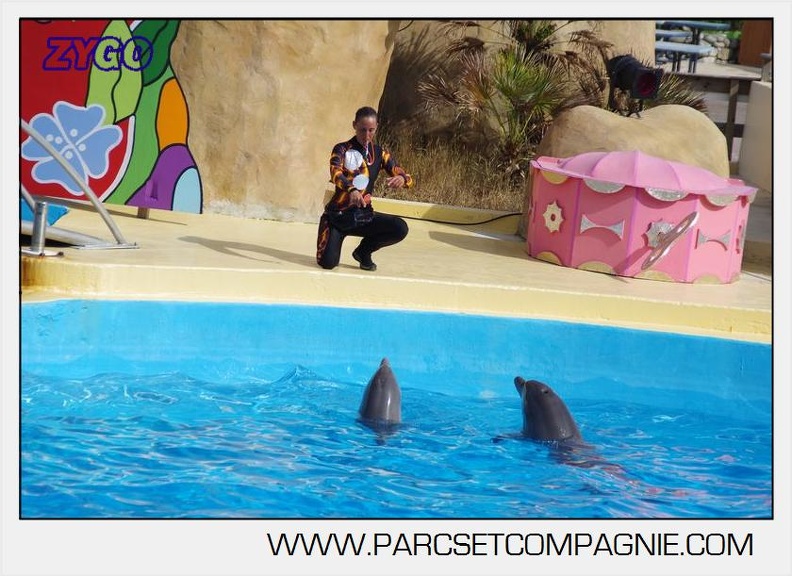 Marineland - Dauphins - Spectacle 17h00 - 5132