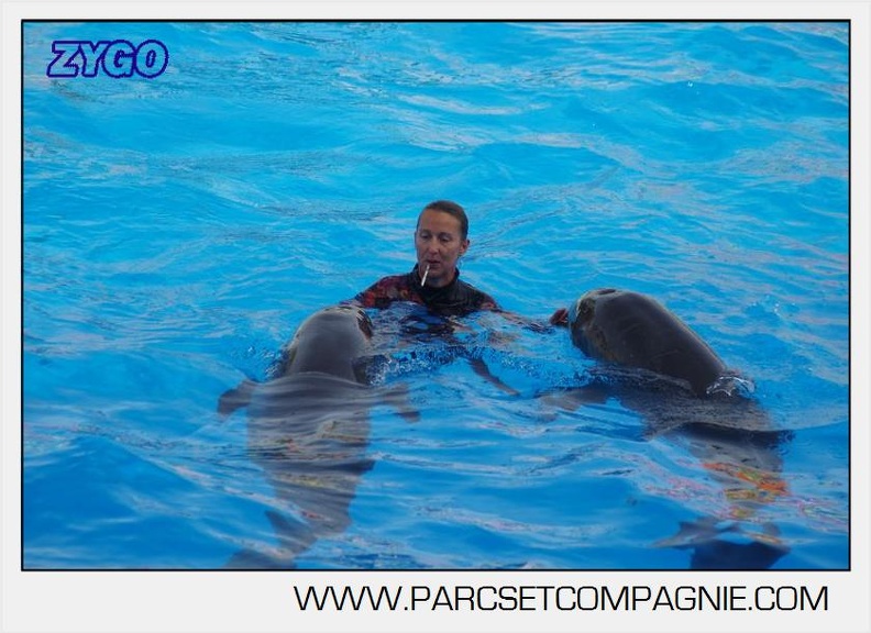 Marineland - Dauphins - Spectacle 17h00 - 5134