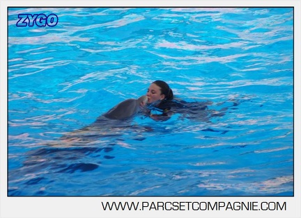Marineland - Dauphins - Spectacle 17h00 - 5136