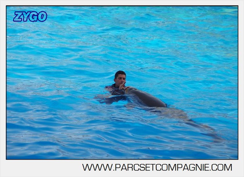 Marineland - Dauphins - Spectacle 17h00 - 5137