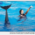 Marineland - Dauphins - Spectacle 17h00 - 5138