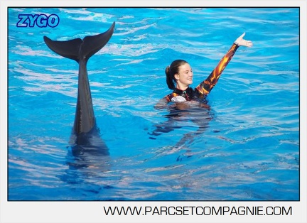 Marineland - Dauphins - Spectacle 17h00 - 5138