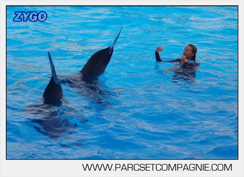 Marineland - Dauphins - Spectacle 17h00 - 5139