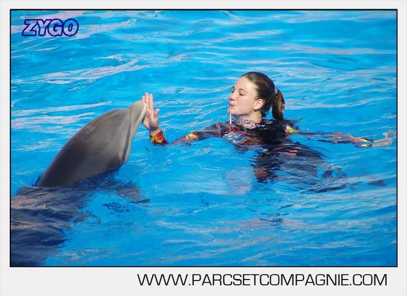 Marineland - Dauphins - Spectacle 17h00 - 5140