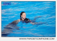 Marineland - Dauphins - Spectacle 17h00 - 5142