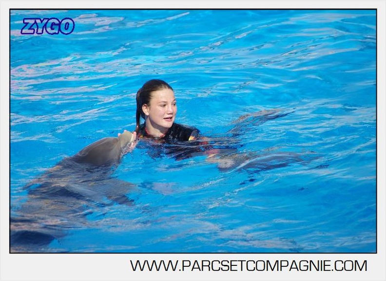 Marineland - Dauphins - Spectacle 17h00 - 5142