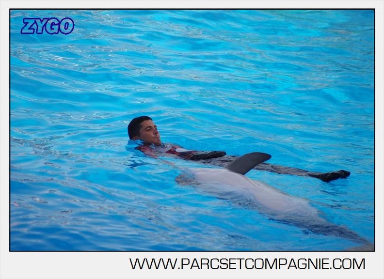 Marineland - Dauphins - Spectacle 17h00 - 5144