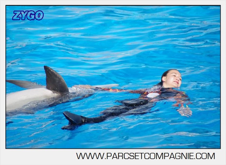 Marineland - Dauphins - Spectacle 17h00 - 5145