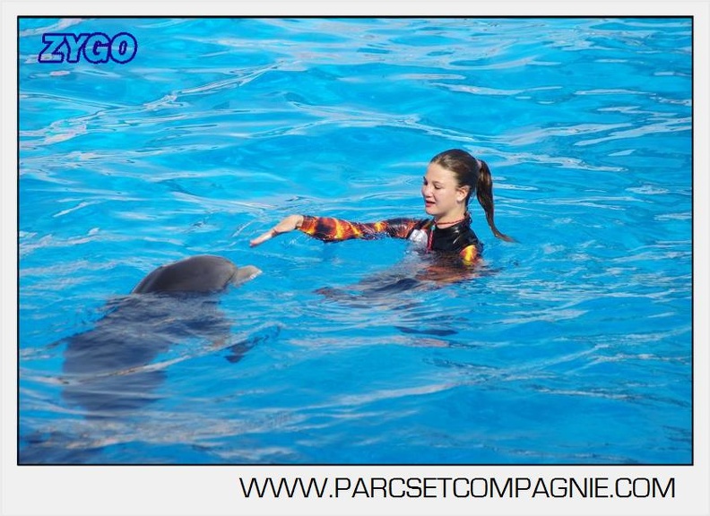 Marineland - Dauphins - Spectacle 17h00 - 5146