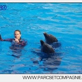 Marineland - Dauphins - Spectacle 17h00 - 5148