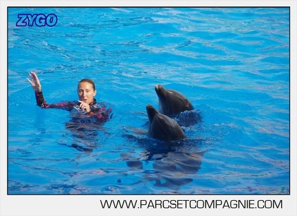 Marineland - Dauphins - Spectacle 17h00 - 5148