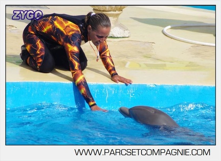 Marineland - Dauphins - Spectacle 17h00 - 5150