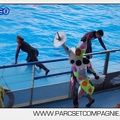 Marineland - Dauphins - Spectacle 17h00 - 5151