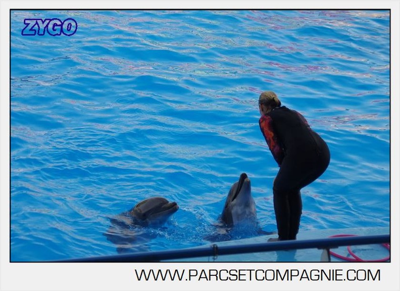 Marineland - Dauphins - Spectacle 17h00 - 5152