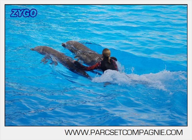Marineland - Dauphins - Spectacle 17h00 - 5154