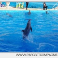 Marineland - Dauphins - Spectacle 17h00 - 5155