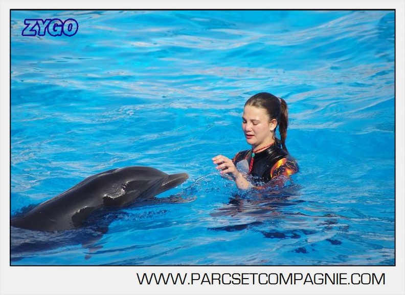 Marineland - Dauphins - Spectacle 17h00 - 5157