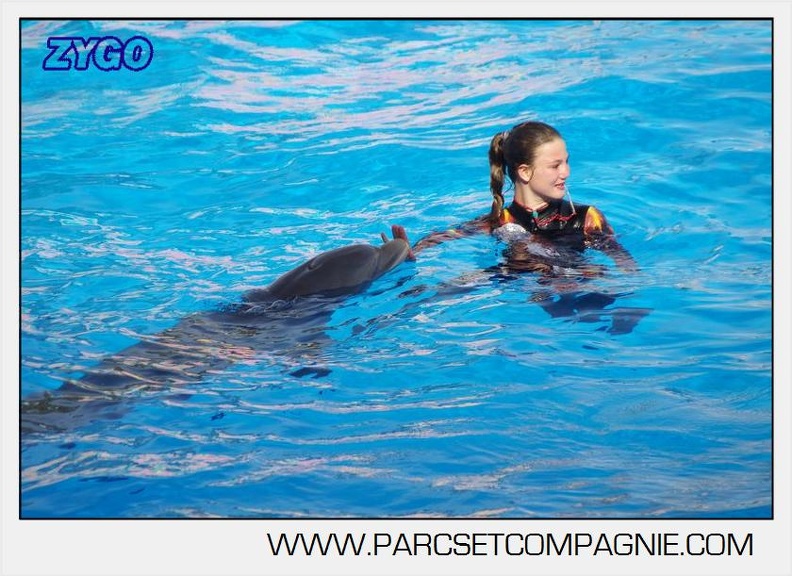 Marineland - Dauphins - Spectacle 17h00 - 5158