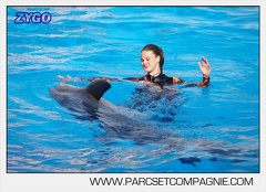 Marineland - Dauphins - Spectacle 17h00 - 5159