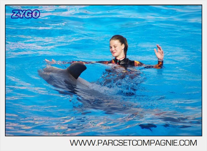 Marineland - Dauphins - Spectacle 17h00 - 5159