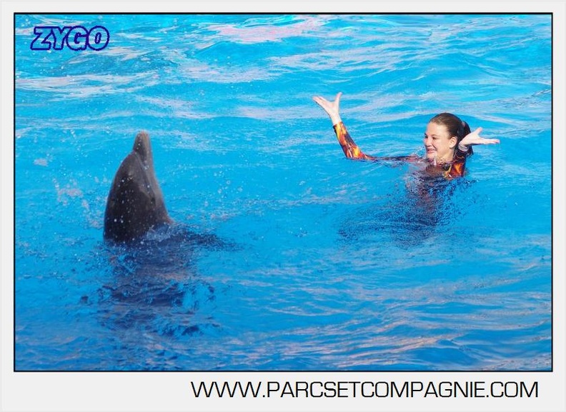 Marineland - Dauphins - Spectacle 17h00 - 5160
